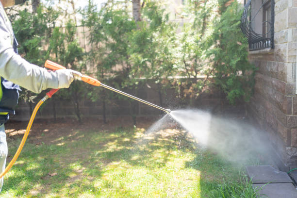 Best Seasonal Pest Control (e.g., summer mosquitoes, winter rodents)  in Parsippany, NJ